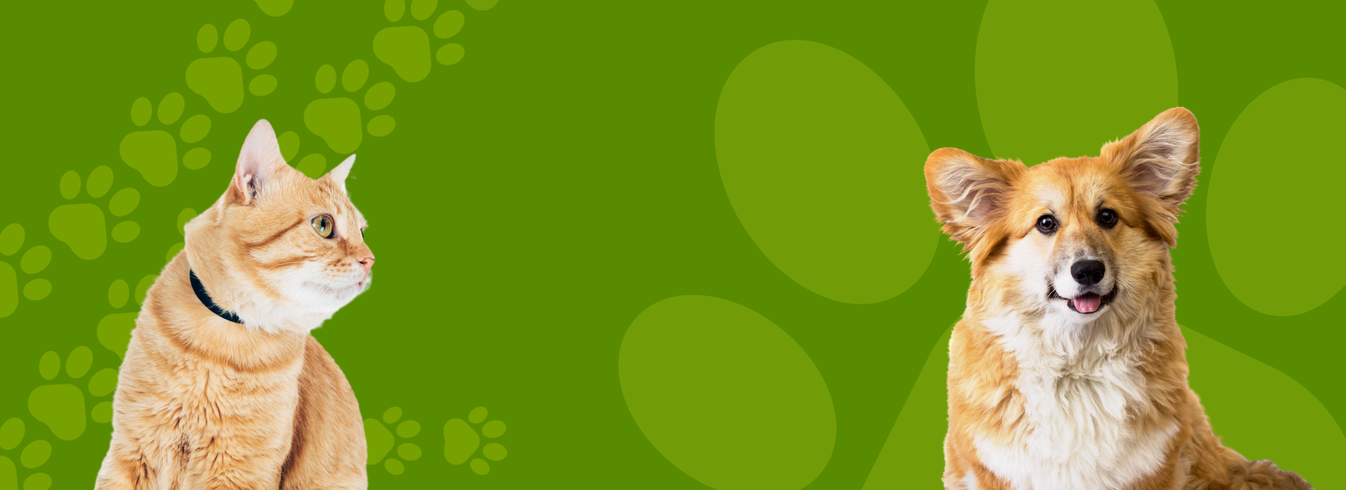 Clínica Veterinaria <br/> DEL ESLA